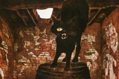 gatto-nero-brunetto-faggioli