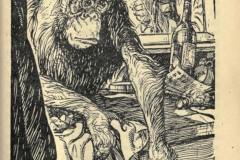 murders-rue-morgue-3