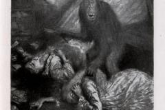 murders-rue-morgue-4