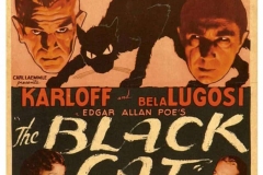 the-black-cat-1934-poster-3