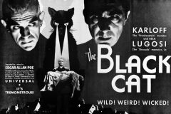 the-black-cat-1934-poster-5