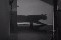 the-black-cat-1934-17