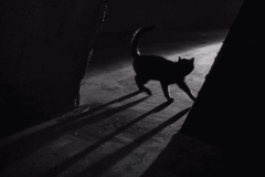 the-black-cat-1934-21