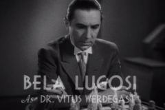 the-black-cat-1934-3