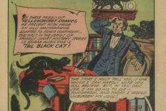 the-black-cat-1944-1