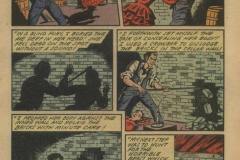 the-black-cat-1944-6