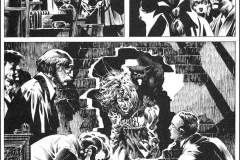 the-black-cat-wrightson-12