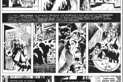 the-black-cat-wrightson-2