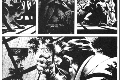 the-black-cat-wrightson-3