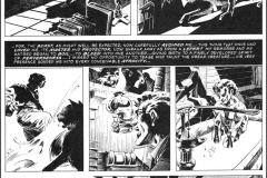 the-black-cat-wrightson-4