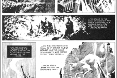 the-black-cat-wrightson-5