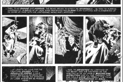 the-black-cat-wrightson-7