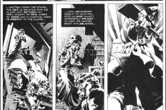 the-black-cat-wrightson-8