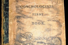the-conchologists-first-book-1