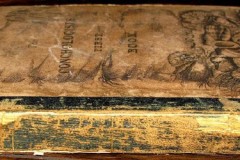 the-conchologists-first-book-2