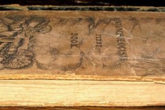 the-conchologists-first-book-3
