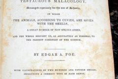 the-conchologists-first-book-4