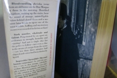 murders-rue-morgue-risguardo-2