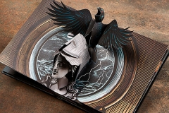 raven-pop-up-ill