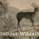 Mattino sul Wissahiccon