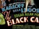 Un film del 1934 ispirato al “Gatto nero”