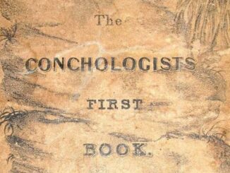 The Conchologist’s First Book