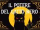 Il potere del gatto nero